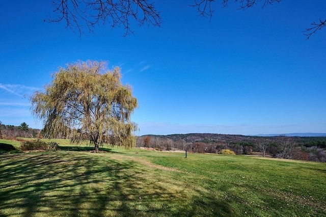 41 Coombs Hill Rd, Shelburne, MA 01340 - view of grassy yard