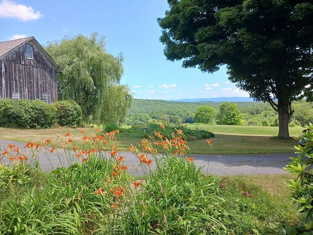 41 Coombs Hill Rd, Shelburne, MA 01340 - view of property's community featuring a lawn