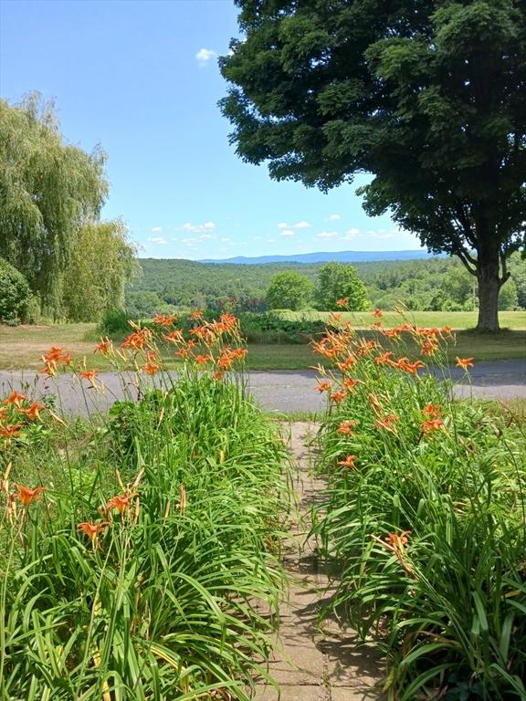 41 Coombs Hill Rd, Shelburne, MA 01340 - view of community