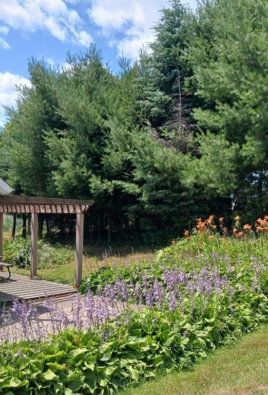 41 Coombs Hill Rd, Shelburne, MA 01340 - view of yard featuring a pergola