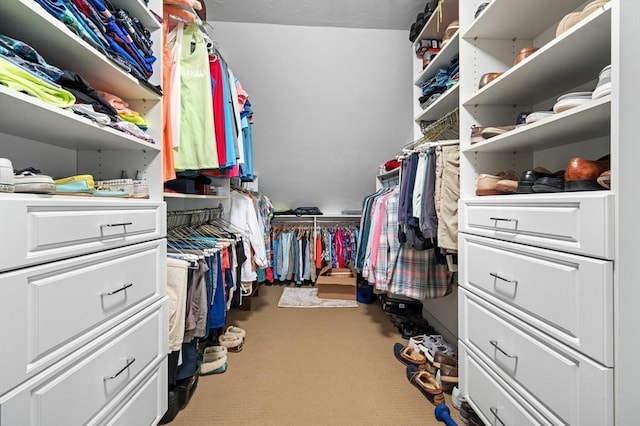 spacious closet featuring carpet