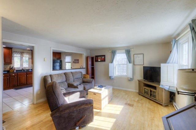 living room featuring light hardwood / wood-style flooring and sink