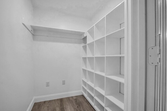 spacious closet featuring dark hardwood / wood-style flooring