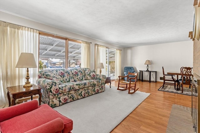 living room featuring light wood-style flooring, baseboards, and a textured ceiling