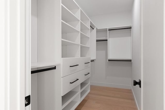 spacious closet featuring light wood-style floors