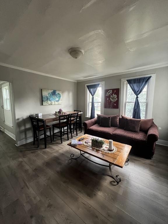 living room with ornamental molding and dark hardwood / wood-style floors