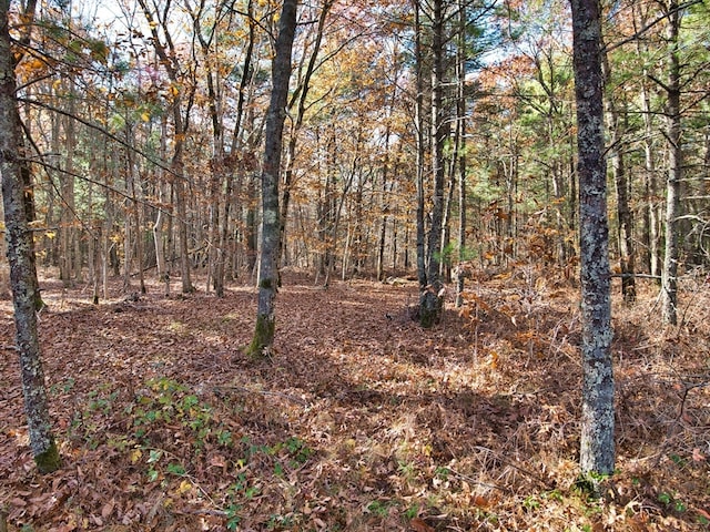 view of landscape