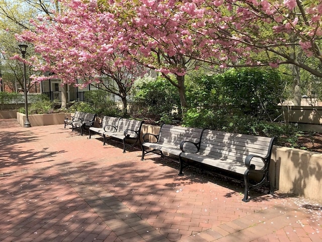 view of community featuring a patio area