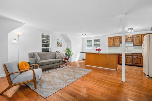 living room with light hardwood / wood-style floors and sink