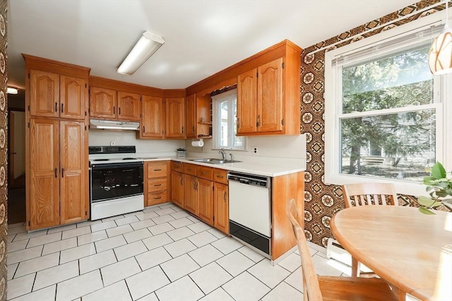 kitchen featuring white dishwasher, a sink, light countertops, under cabinet range hood, and range with electric stovetop