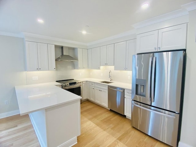 15 Yuill Cir, Boston, MA 02136 - kitchen featuring appliances with stainless steel finishes, wall chimney exhaust hood, a peninsula, a sink, and crown molding