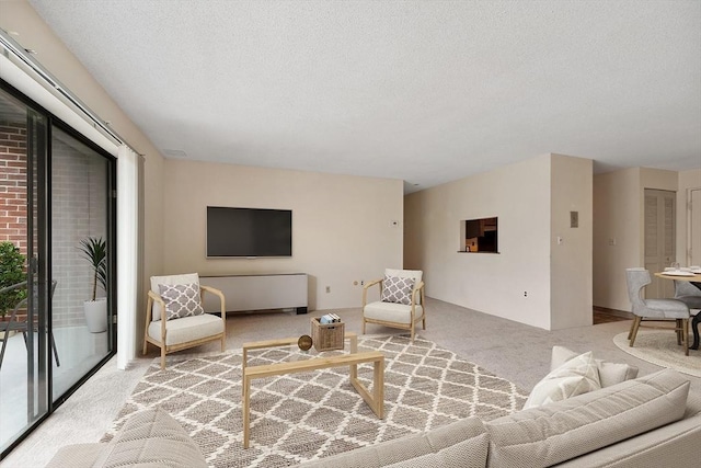 carpeted living area featuring a textured ceiling