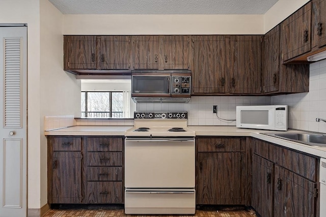 kitchen with a sink, tasteful backsplash, white appliances, light countertops, and dark brown cabinets