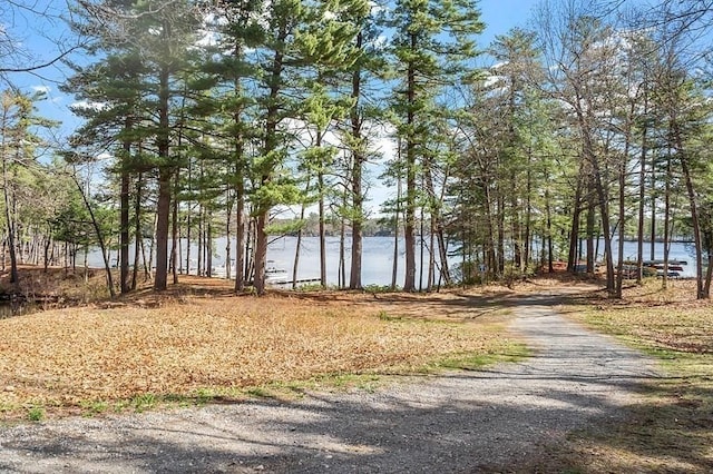 view of street featuring a water view and driveway