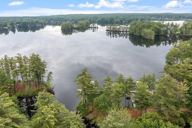birds eye view of property featuring a water view and a forest view