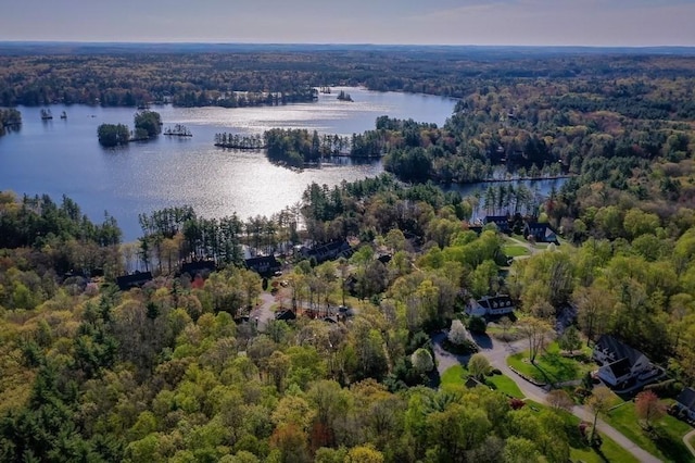aerial view featuring a water view and a wooded view