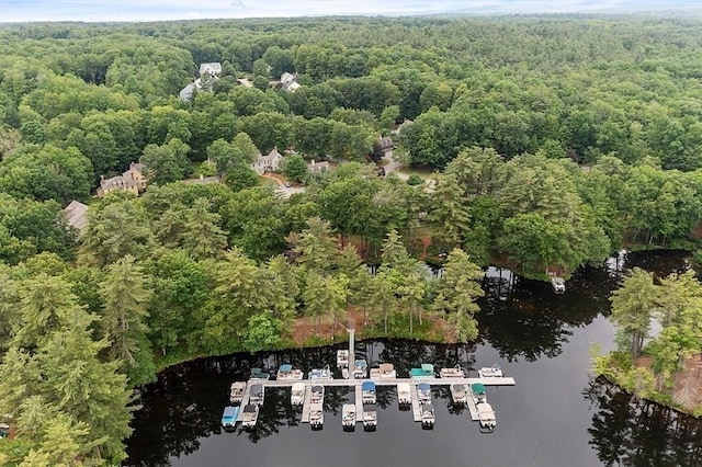 bird's eye view with a water view and a wooded view