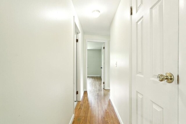 161 Farmington Rd, Amherst, MA 01002 - corridor with light wood-style flooring and baseboards
