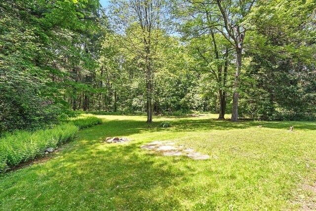 161 Farmington Rd, Amherst, MA 01002 - view of green lawn featuring a wooded view