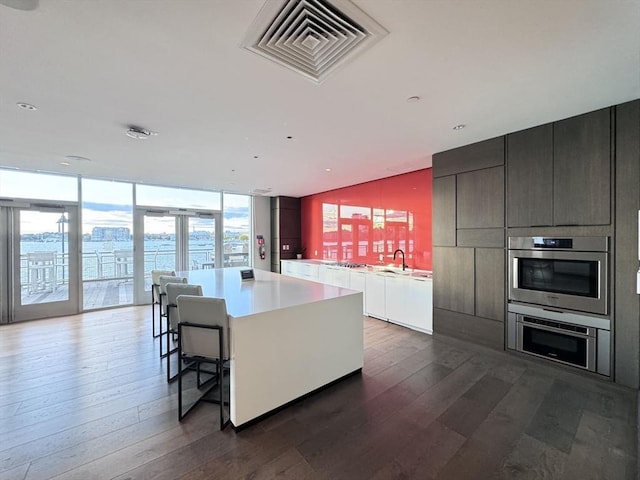 kitchen featuring expansive windows, dark hardwood / wood-style flooring, a kitchen island, and sink