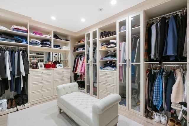 view of spacious closet