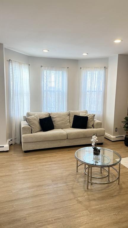 living room featuring a healthy amount of sunlight and light wood-type flooring