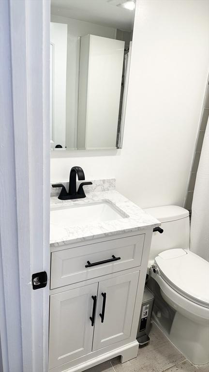 bathroom with toilet and vanity