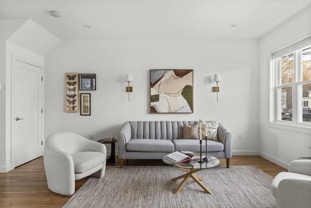 living room with wood-type flooring