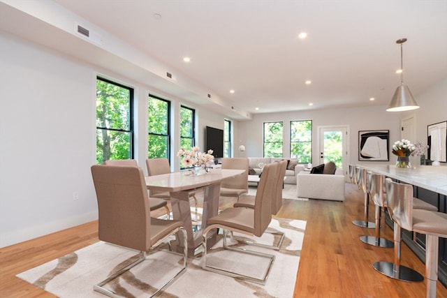 dining space with light hardwood / wood-style flooring and a healthy amount of sunlight