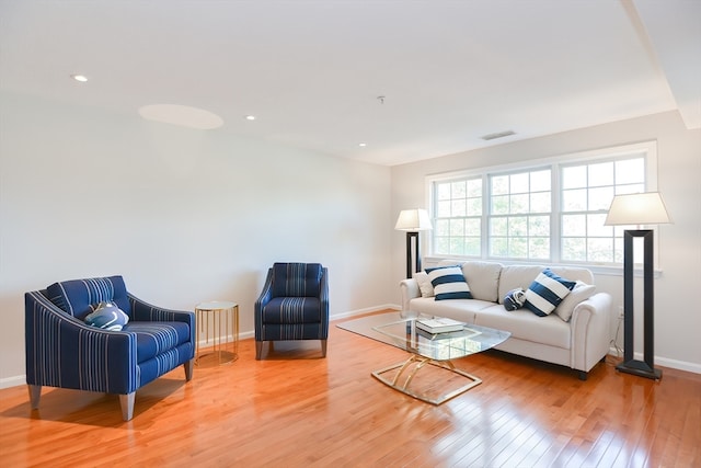 living room featuring wood-type flooring