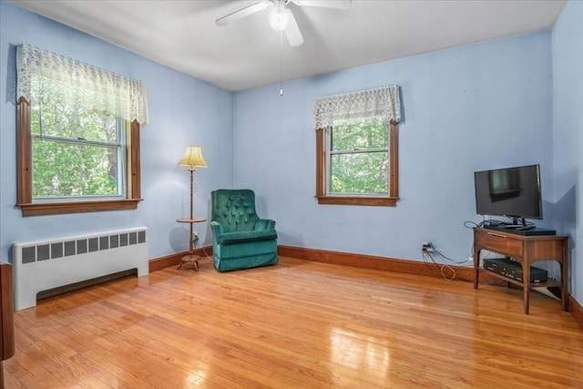 639 Washington St, Walpole, MA 02032 - living area with radiator heating unit, light wood finished floors, ceiling fan, and baseboards