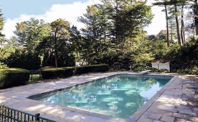 view of pool featuring a patio and a diving board