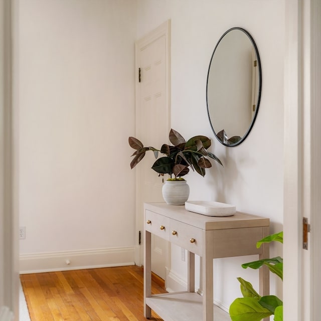 details with wood-type flooring