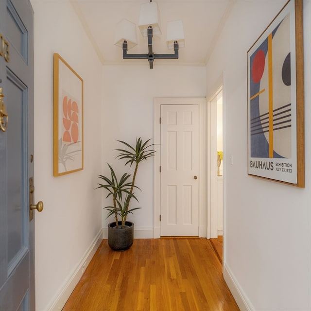 hallway featuring light hardwood / wood-style flooring, a chandelier, and ornamental molding