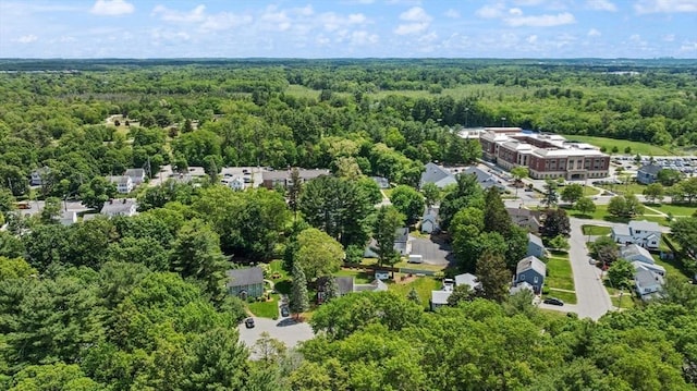 10 Powderhouse Cir, Wilmington, MA 01887 - bird's eye view of a forest