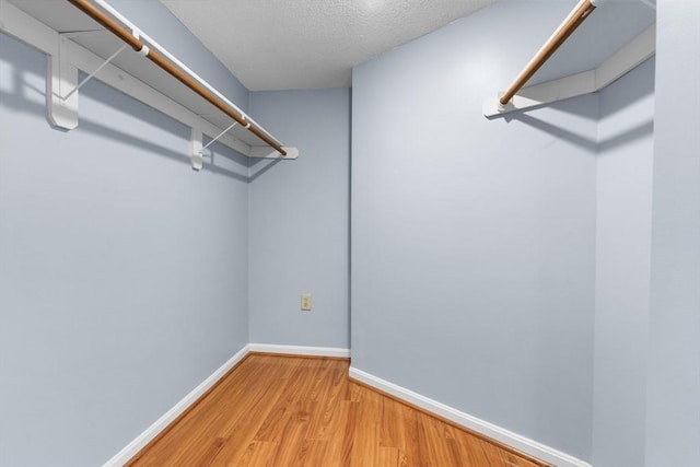 spacious closet featuring light hardwood / wood-style flooring