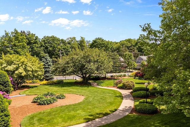 127 King St Unit 104, Franklin, MA 02038 - surrounding community featuring a yard