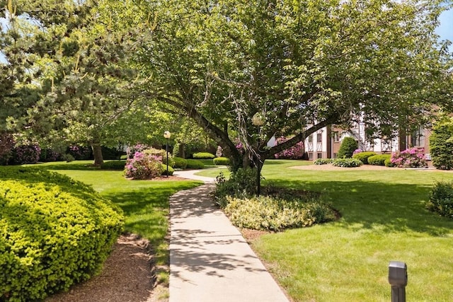 127 King St Unit 104, Franklin, MA 02038 - view of property's community with a yard
