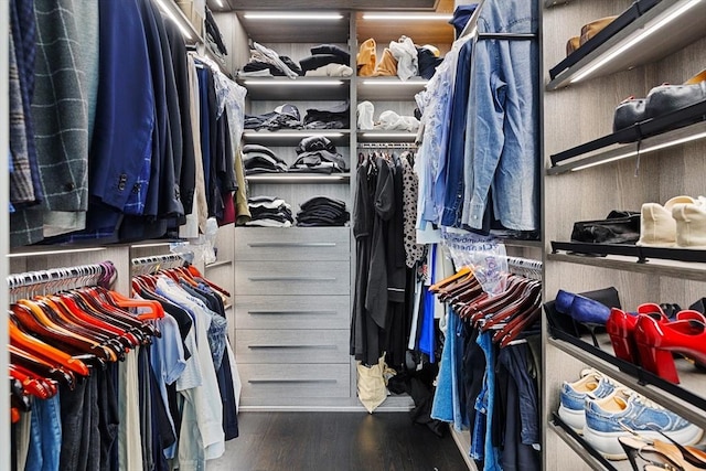 8 Rutland Sq Unit 2, Boston, MA 02118 - walk in closet with wood finished floors