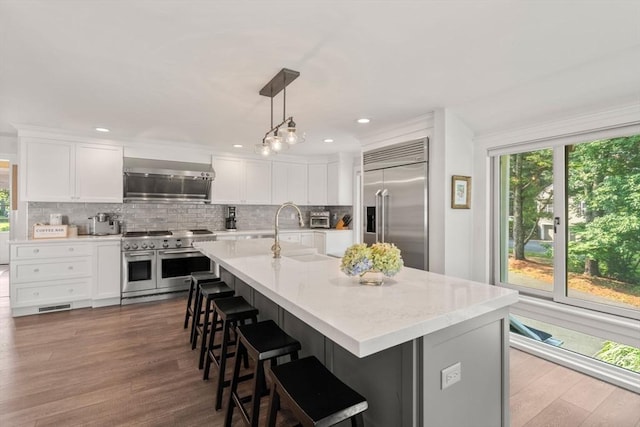 19 Buckmaster Dr, Sudbury, MA 01776 - kitchen with dark wood-style floors, high end appliances, decorative backsplash, and a sink