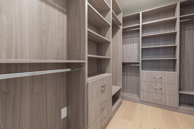 walk in closet with light hardwood / wood-style floors