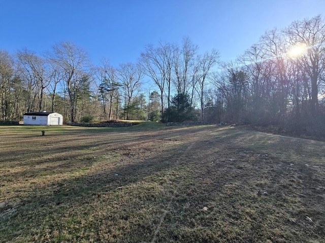 view of yard featuring a shed