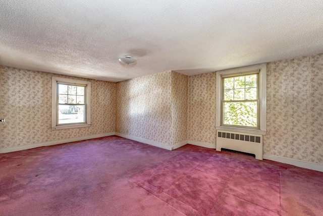 spare room featuring a healthy amount of sunlight, carpet floors, a textured ceiling, and radiator