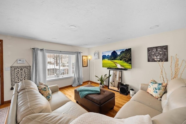 living room featuring light hardwood / wood-style flooring