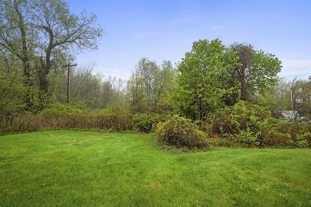 view of green lawn featuring a wooded view
