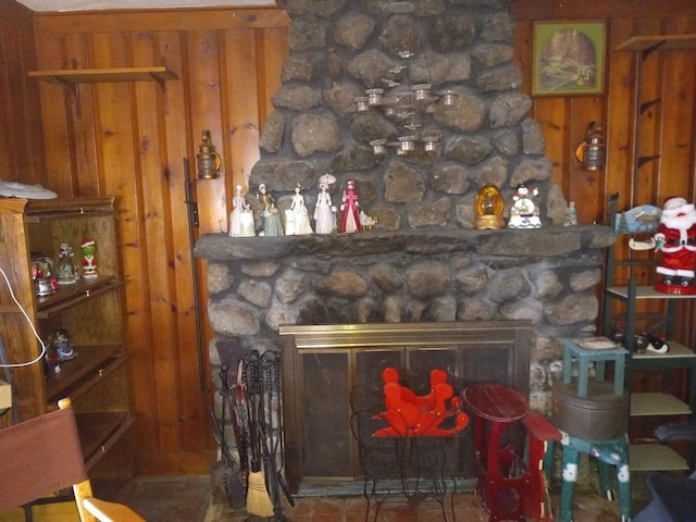 details featuring wood walls and a stone fireplace