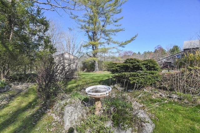view of yard featuring an outbuilding