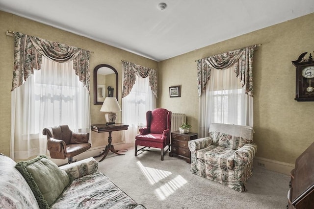 view of carpeted living room