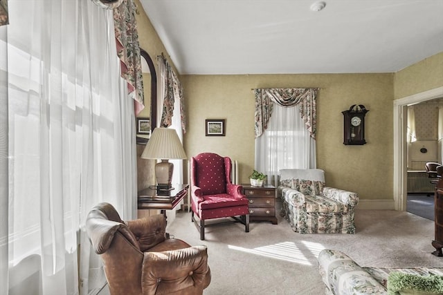 living area featuring carpet flooring