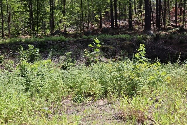979 Chestnut St, Athol, MA 01331